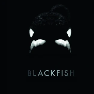 Blackfish 2013