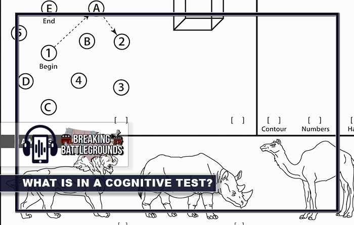 What is in a Cognitive Test