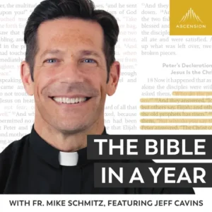 The Bible In A Year (With Fr. Mike Schmitz)
